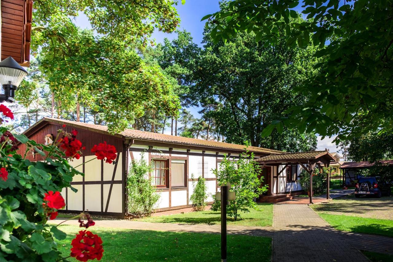 Hotel & Restaurant Lindengarten Lübben Extérieur photo